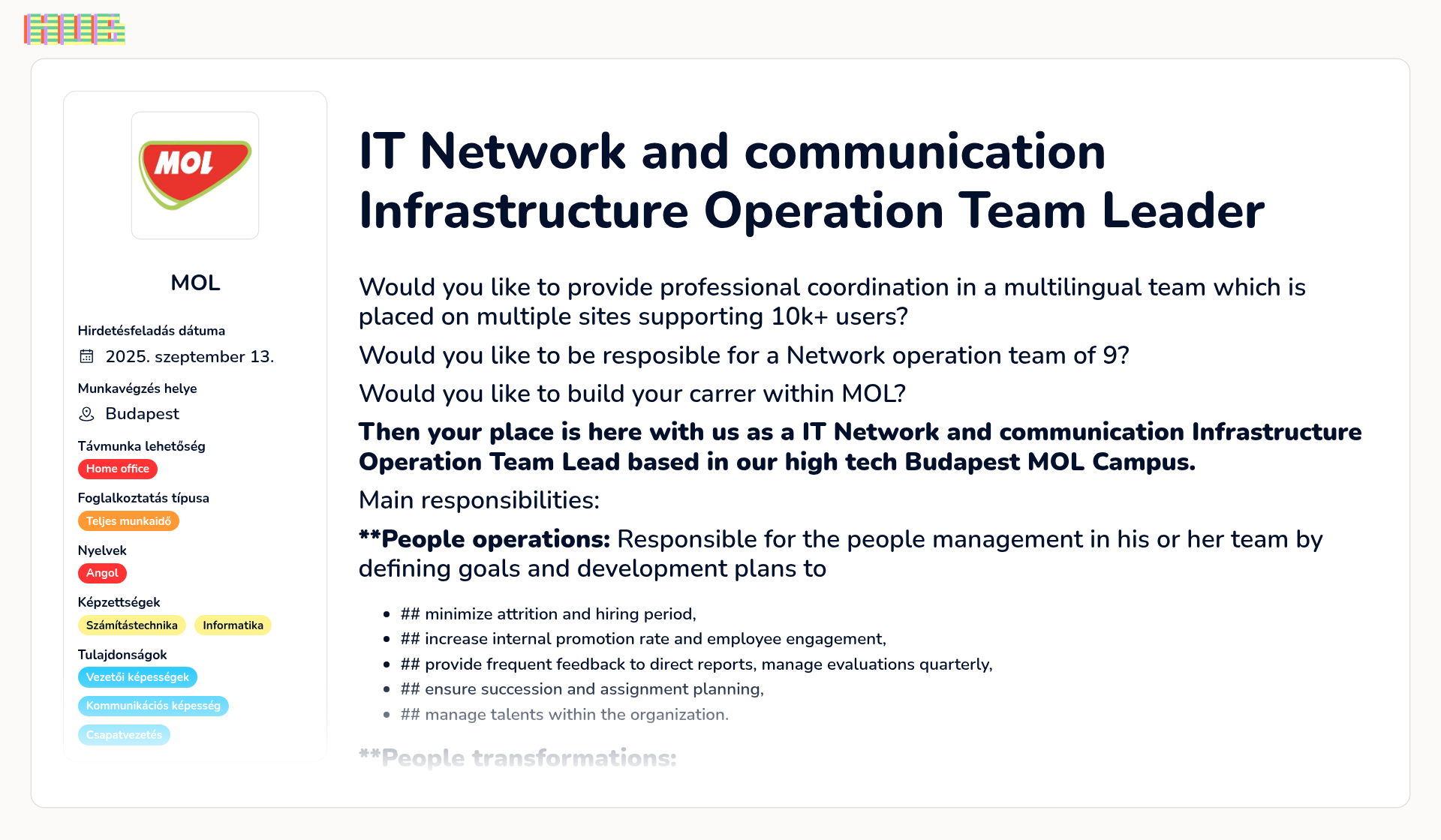 IT Network and communication Infrastructure Operation Team Leader | MOL ...